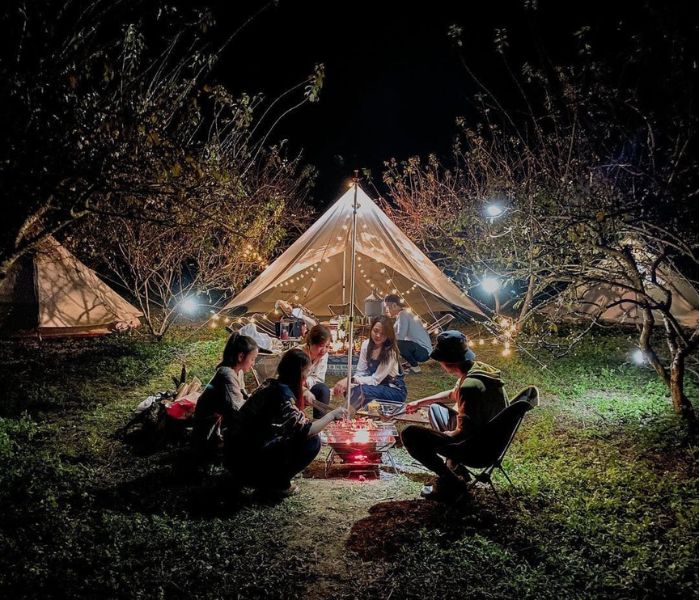 Làng nổi Tân Lập (Long An) – Trải nghiệm camping giữa rừng tràm nguyên sinh