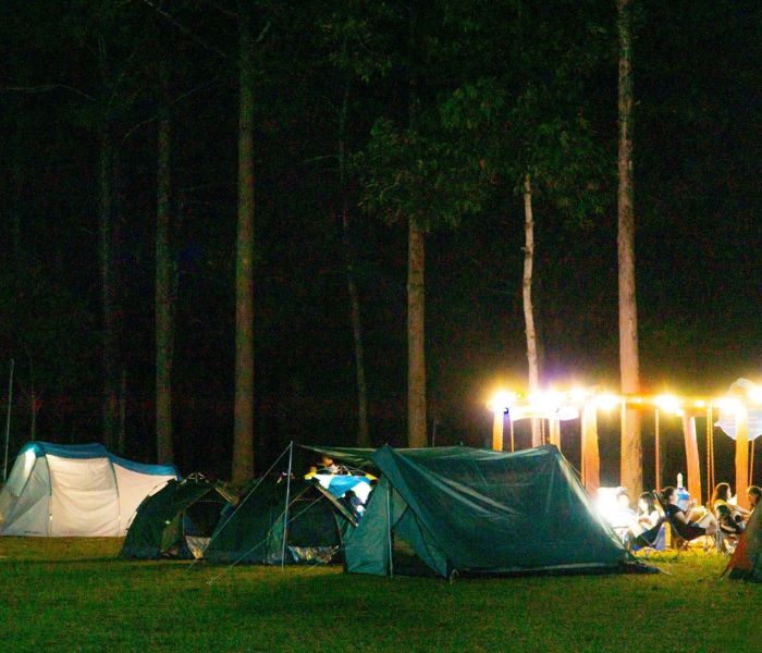 Vườn Quốc Gia Cát Tiên – Hòa mình vào rừng già