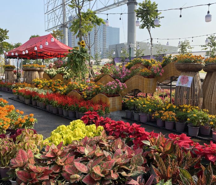 Chợ hoa Tết công viên bờ sông Sài Gòn - View thành phố cực xịn