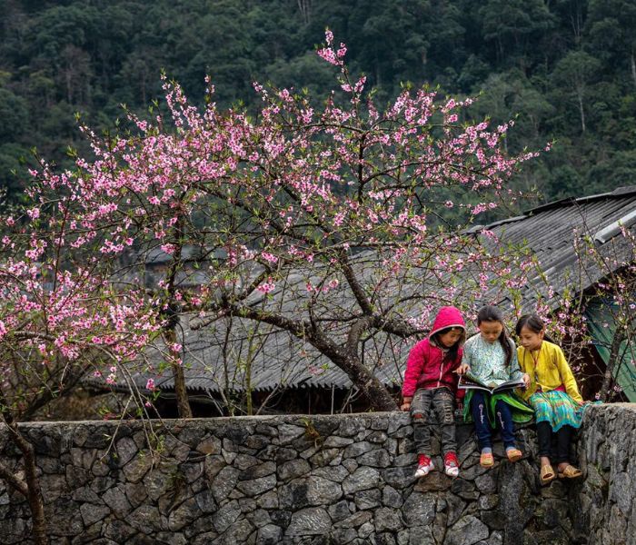 Tết Âm lịch 2026 đi du lịch ở đâu