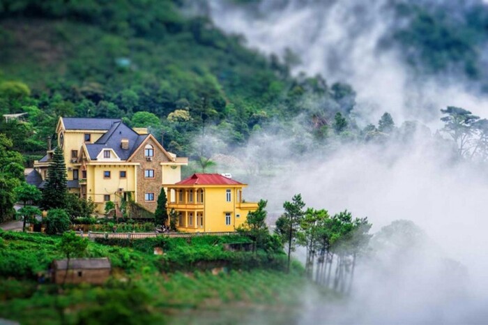 Tam Đảo - "Đà Lạt của miền Bắc" ẩn mình trong sương sớm