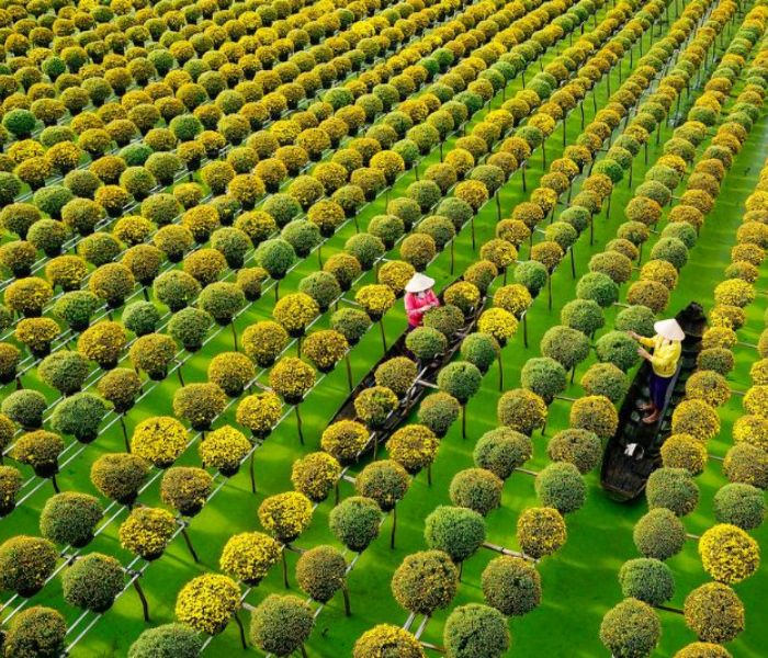 Đồng Tháp - Đắm mình trong sắc hoa và hương sen rạng rỡ