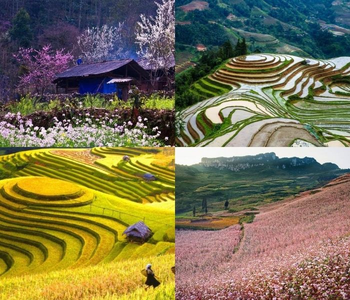 Du lịch Hà Giang mùa nào đẹp nhất