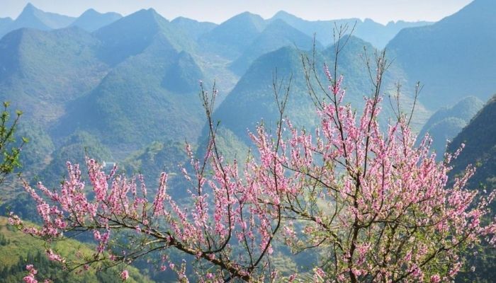Nên đi Hà Giang tháng mấy