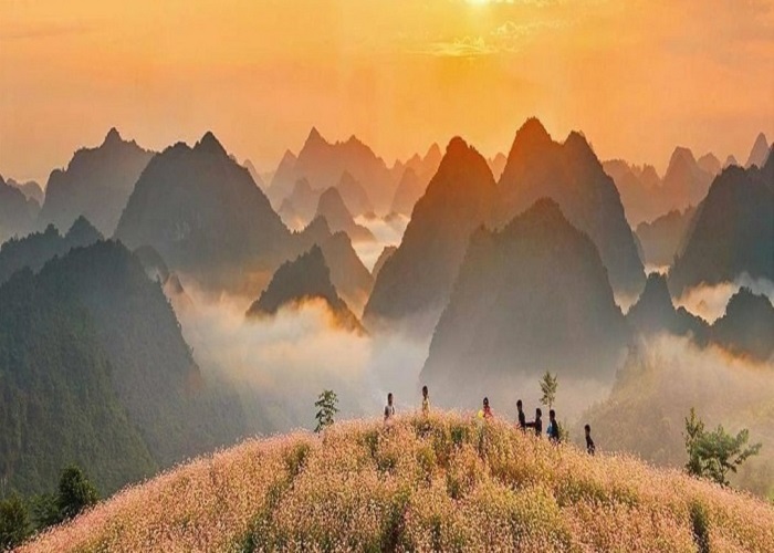 Tam giác mạch Lũng Táo – Thiên đường hoa giữa lòng núi đá