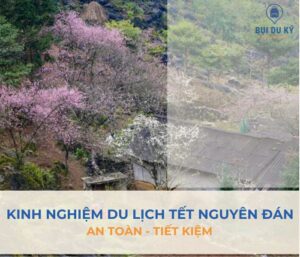 Kinh nghiệm du lịch Tết Nguyên Đán 2026 “né” đông đúc, an toàn, giá rẻ