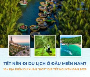 Tết nên đi du lịch ở đâu miền Nam? 10+ địa điểm du xuân 2026 thú vị