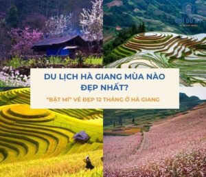 Du lịch Hà Giang mùa nào đẹp nhất? Vẻ đẹp 12 tháng của Hà Giang