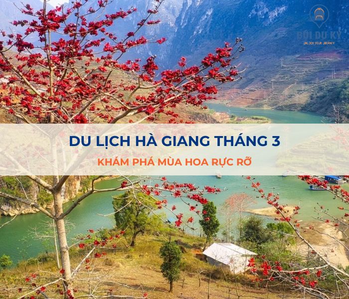 Du lịch Hà Giang tháng 3: Khám phá mùa hoa rực rỡ